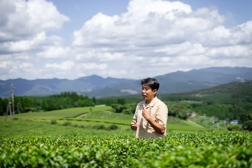 茶畑で語る天野浩
