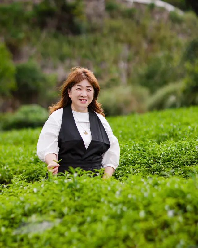 茶畑に立つ大塚佳寿子